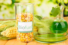 Lack biofuel availability